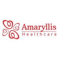 amaryllis