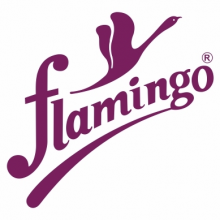 ascent-meditech-flamingo